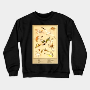 Vintage Flying Birds 1922 Crewneck Sweatshirt